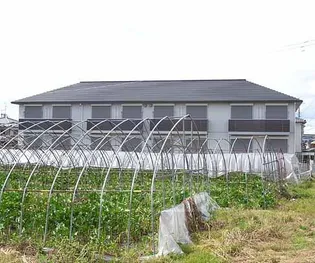 イズ ドリームの画像