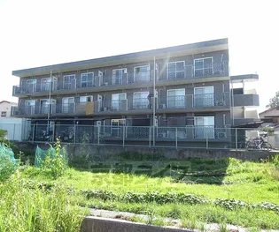 エトワール ショウの画像