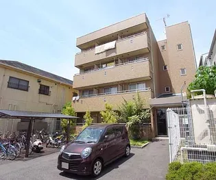 ピースコートの画像