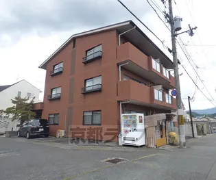 アクティブ水垣の画像