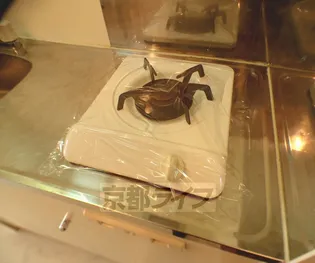 ノーザンシティー【302号室】のキッチン