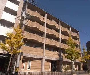 GRACEとーべえの画像