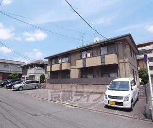 センプレヴェルデの画像