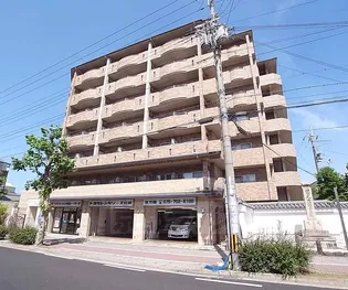 ドルス百万遍の画像