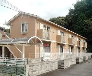 タウニィサンハニーの画像