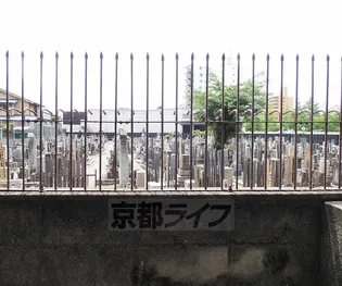 セブンスパークアパートメント【101号室】のその他画像