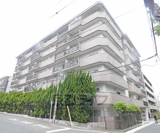 西賀茂ハイツの画像