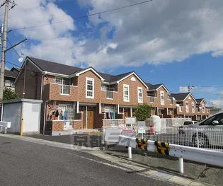 パレミニョンⅠの画像