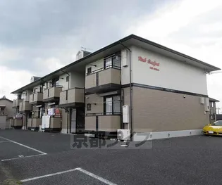 リアルコンフォートの画像