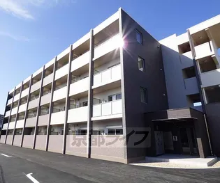 ベルウエストの画像