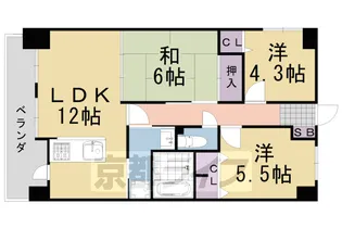 桂グリーンマンション【103号室】の間取り
