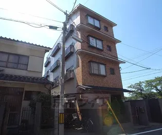 JTサフランの画像