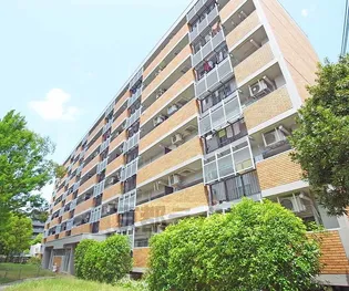 東大路高野第1住宅【3504号室】の外観