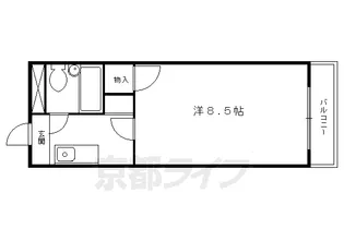 ホワイトリバー千栄【206号室】の間取り