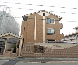 PRUNUS MIKAGEの画像