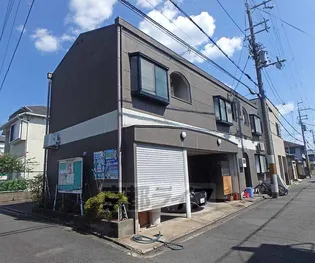 シェモアの画像