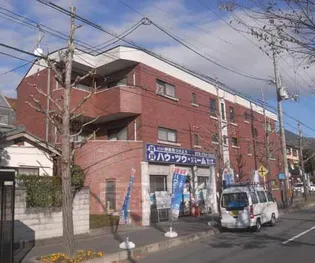 まちゃまちゃの画像