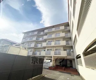 京都府京都市右京区嵯峨野開町【マンション】の外観