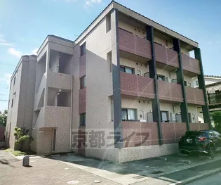 ラフィーネ西沢【203号室】の外観