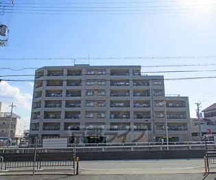 エルパティオ桂南の画像