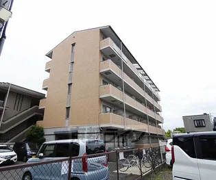 エクシードIIIの画像