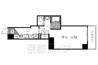 amistad洛【506号室】の間取り