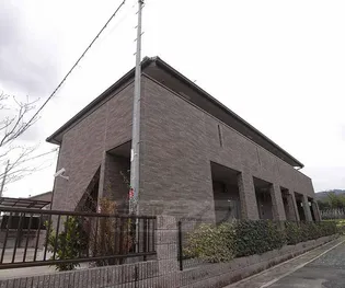 ジュン アンビエンテの画像