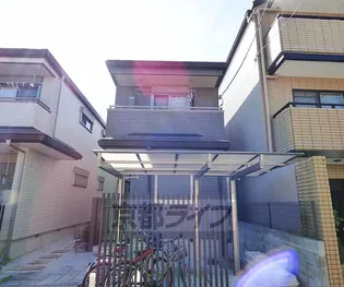 シュタイン コートの画像