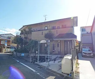 ピーノコウラクの画像