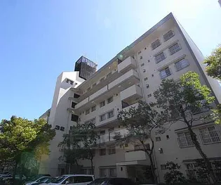 東大路高野第3住宅24棟【202号室】の外観