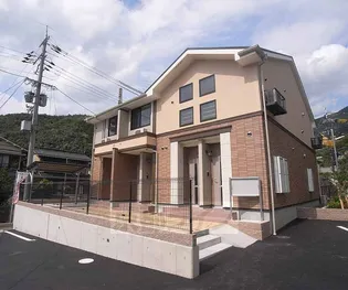 エバーグリーンBの画像