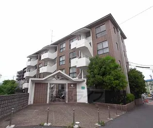 アルテミス大久保の画像