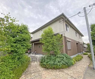 ラヴィニール アンの画像