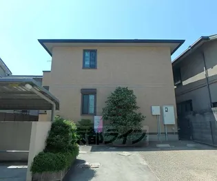 ミュルサンヌ桜の画像