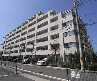 ネバーランド桂の画像