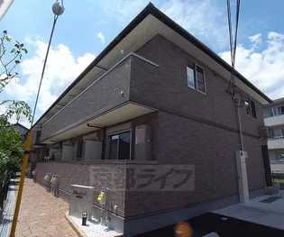 プラシードの画像