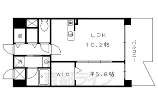 カンマキーノ【610号室】の間取り