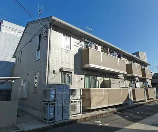 アプリコットの画像