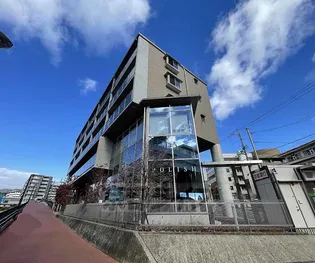 ルピナス ヴィータの画像