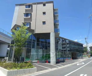 ルピナス ヴィータの画像