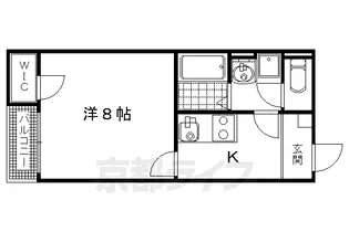 レオネクスト天【201号室】の間取り