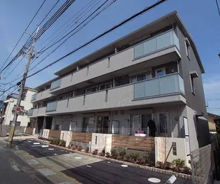 サンフラワーAの画像