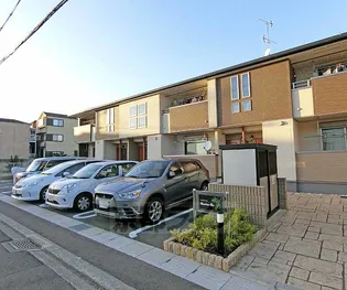 バンブーアンの画像