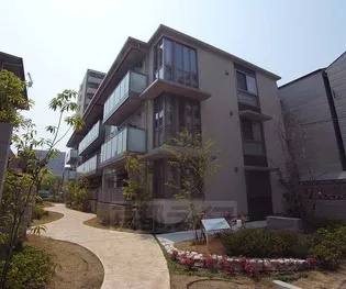 シャーメゾンDDの画像