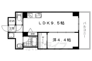 SHAMAISON JJ【502号室】の間取り