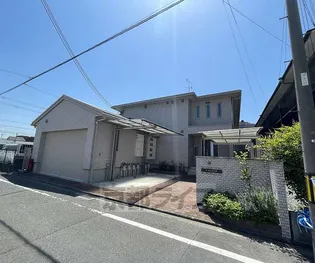 ラウレアの画像