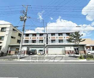 MESA VERDE 桂の画像