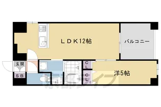 サンクチュアリ御池御前【4階】の間取り