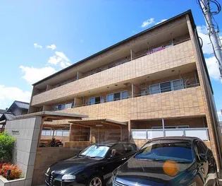 メゾン ド 楓光Ⅳの画像