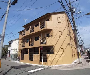 HAMASO京大北の画像